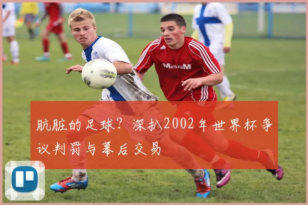 肮脏的足球？深扒2002年世界杯争议判罚与幕后交易