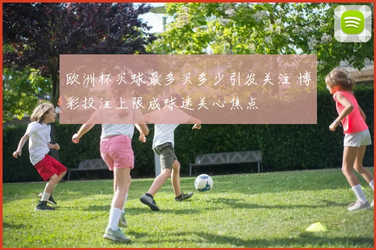 欧洲杯买球最多买多少引发关注 博彩投注上限成球迷关心焦点