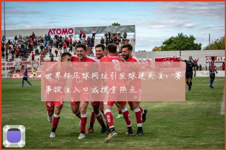 世界杯压球网址引发球迷关注,赛事投注入口成搜索热点