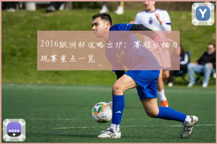 2016欧洲杯攻略出炉:赛程分组与观赛重点一览