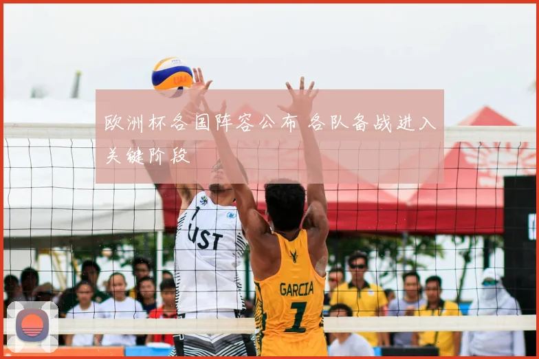 欧洲杯各国阵容公布 各队备战进入关键阶段