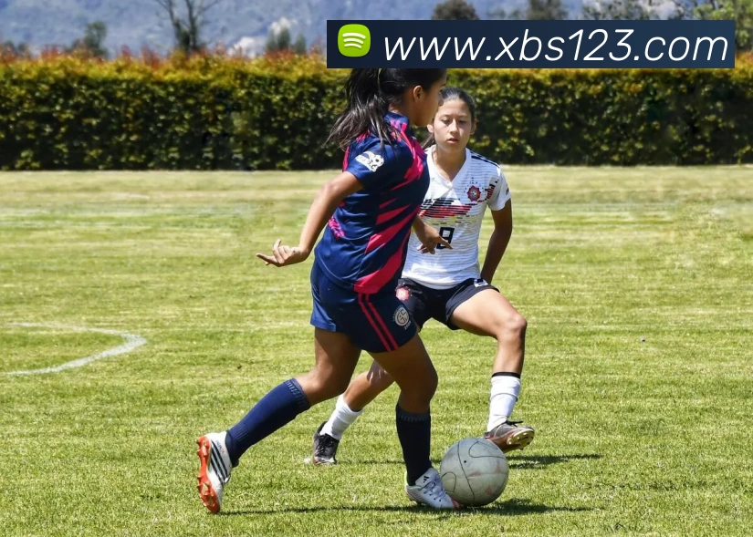 App Interface Preview